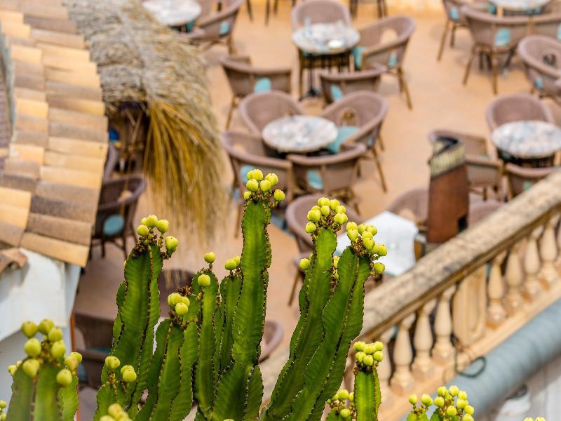 Hotel Playas De Paguera باغيرا المظهر الخارجي الصورة